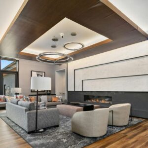 Living Room ceiling designs by Ivan furniture